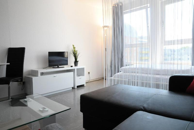 Classic Apartment image 2