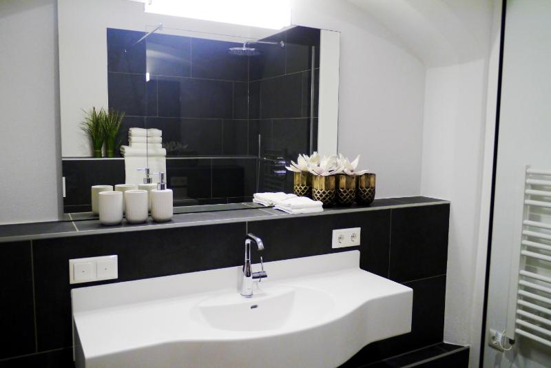 Single Room image 3