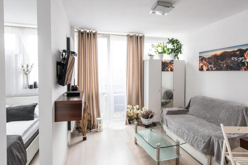 One-Bedroom Apartment image 2