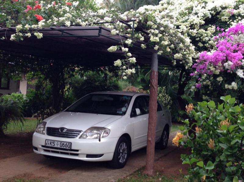 Tangalle Green House - image 8