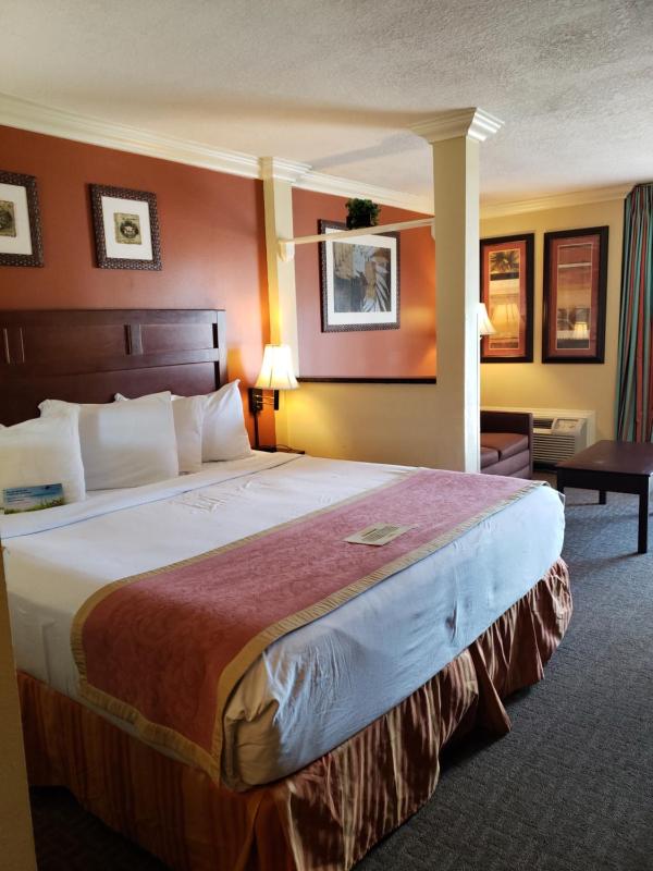 King Room - Non-Smoking image 3