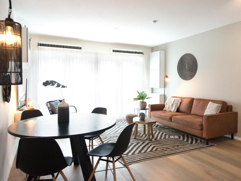 One-Bedroom Apartment image 2