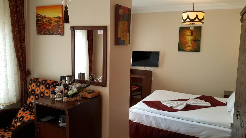 Deluxe Double or Twin Room image 4