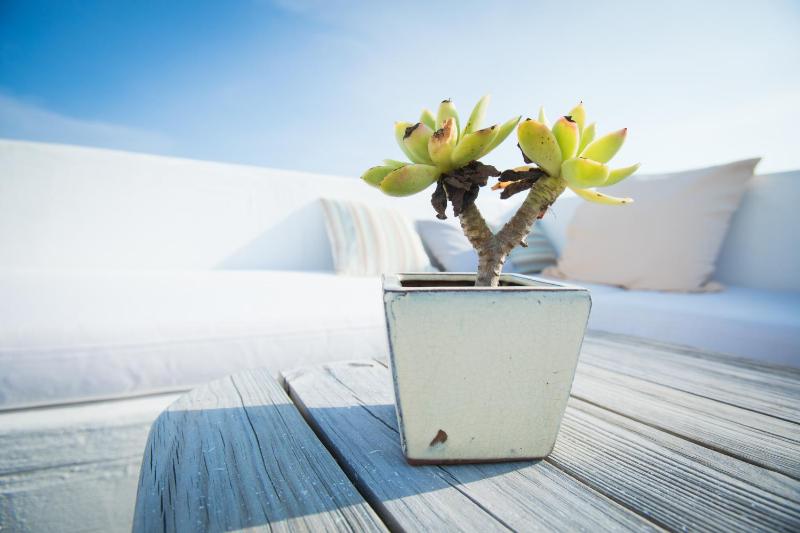Kenting South Border DeSign Hotel - image 7