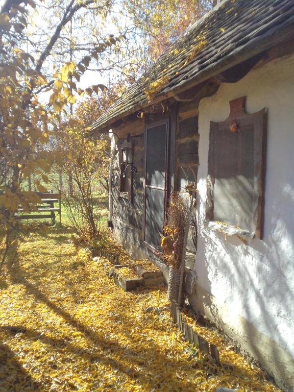 Holiday Home image 3