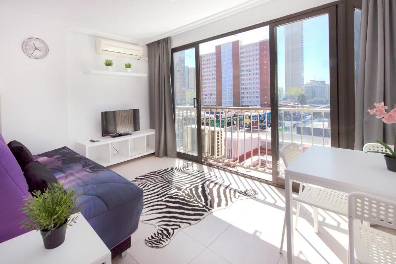 One-Bedroom Apartment image 4