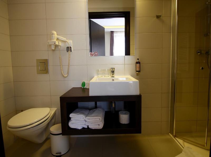 Superior Double or Twin Room image 4