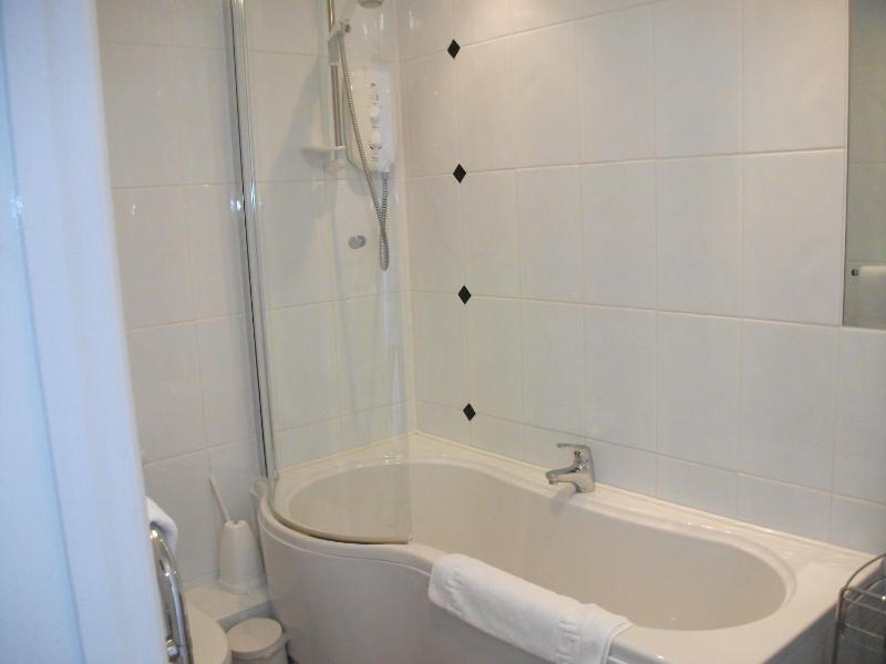 Premium Double Room image 4