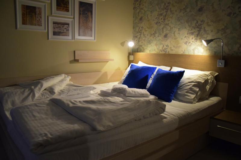 One-Bedroom Apartment image 2