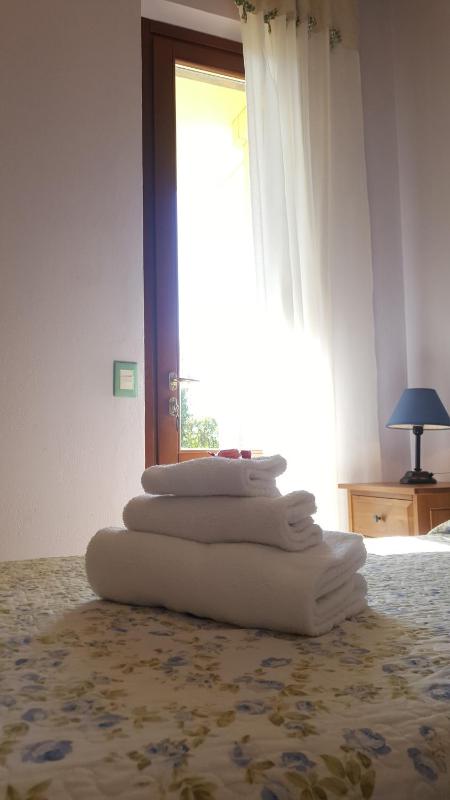 Single Room image 4