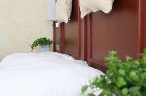 Single Room image 1