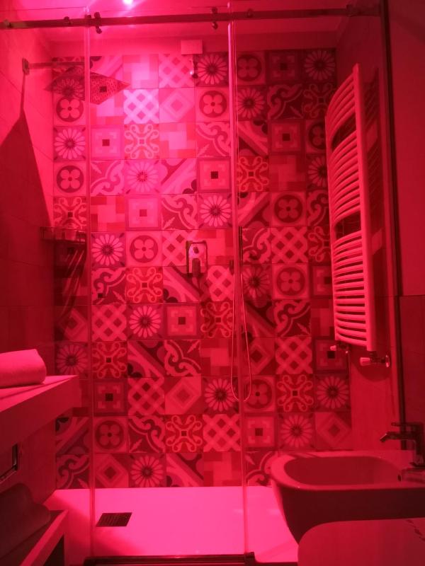 Double or Twin Room image 4