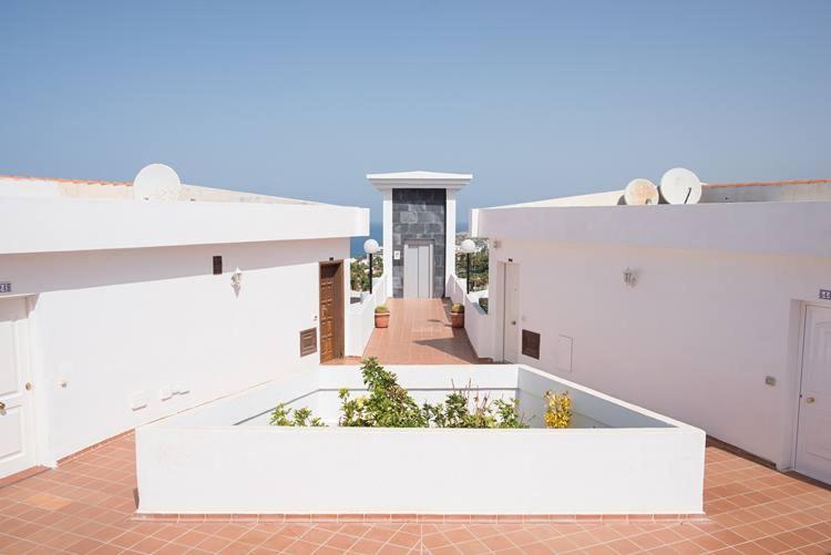 Island Village - image 7