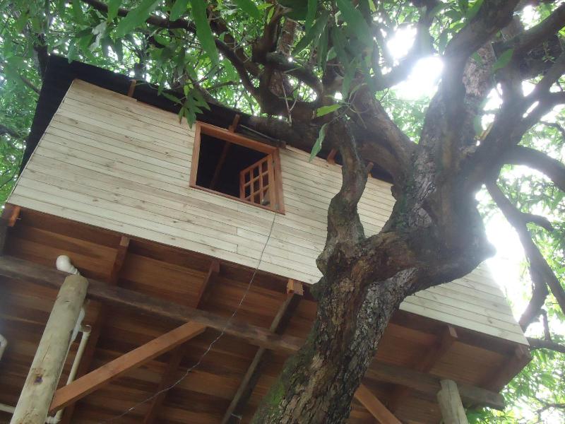 Casa na Árvore - image 10