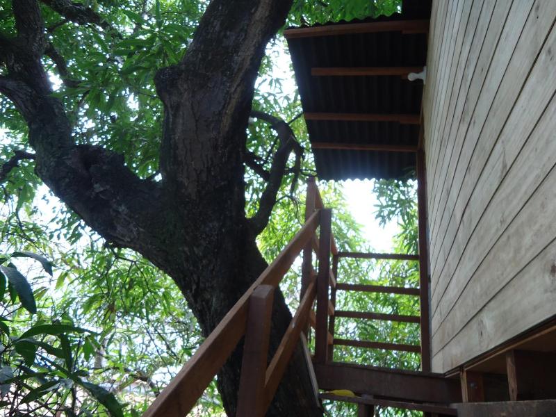 Casa na Árvore - image 5