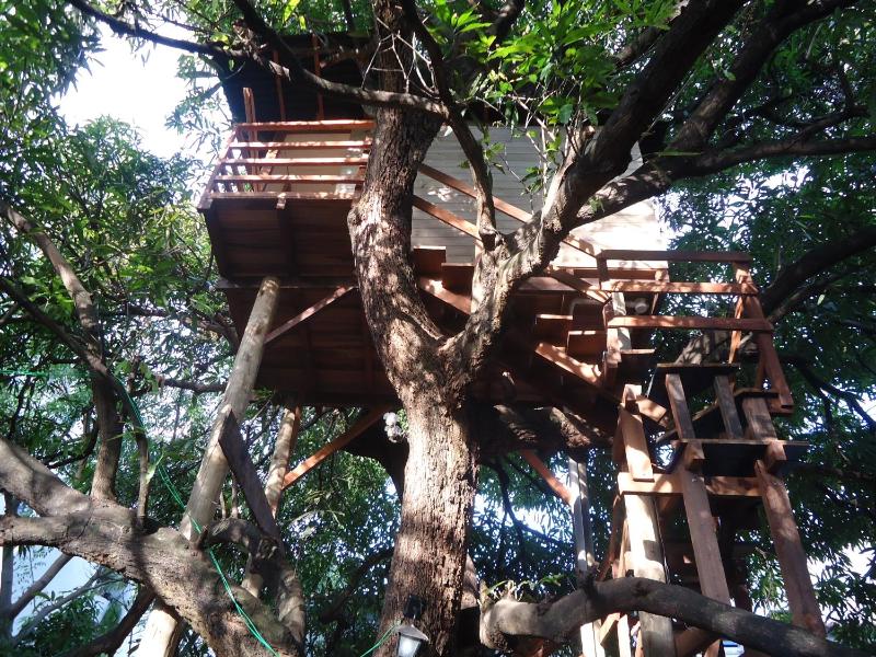 Casa na Árvore - image 13