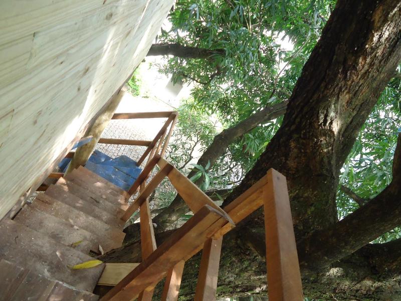 Casa na Árvore - image 12