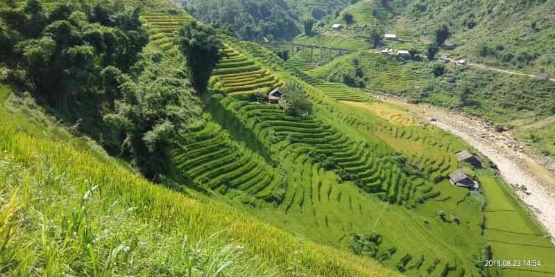 Dzay house homestay - image 13