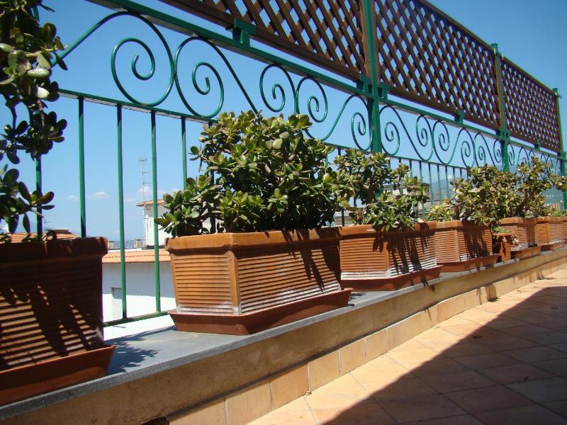 Sorrento Inn Guesthouse - image 30