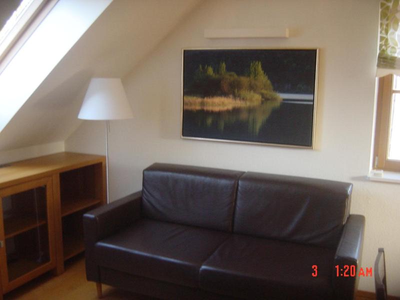 Standard One-Bedroom Apartment image 2
