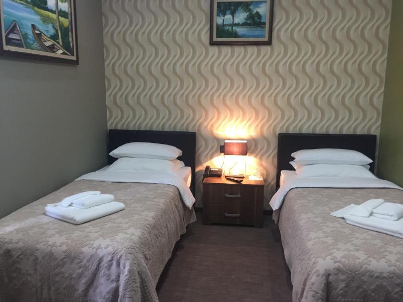 Deluxe Twin Room image 1