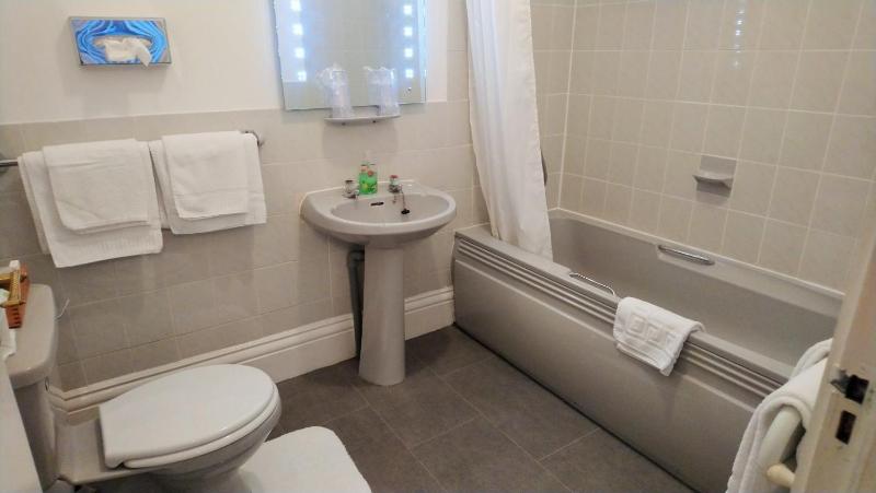 Superior Deluxe Double or Twin Room  image 2