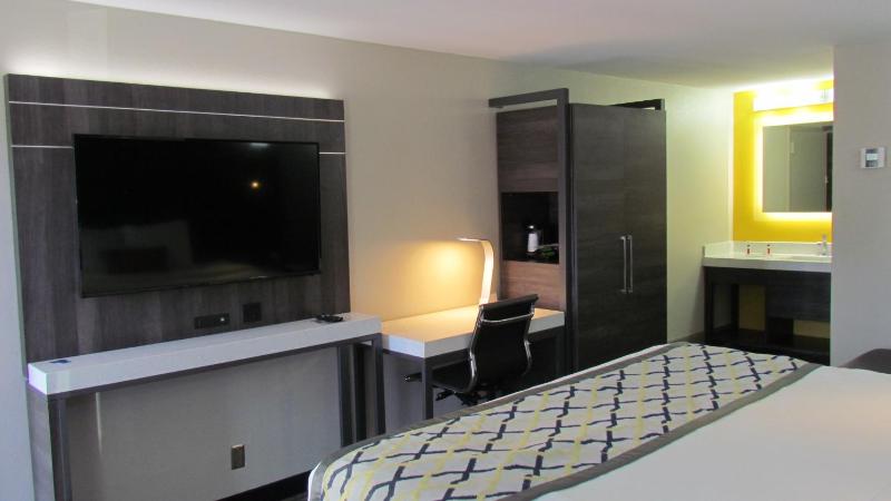 Deluxe One-Bedroom Suite- Non-Smoking image 4