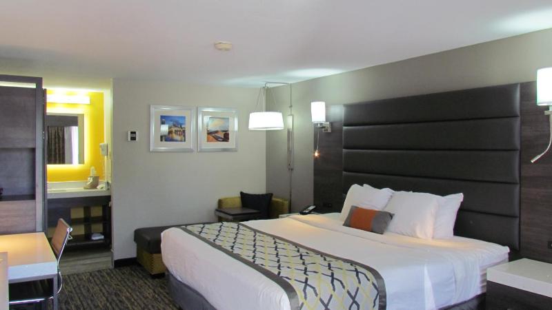 Deluxe One-Bedroom Suite- Non-Smoking image 3