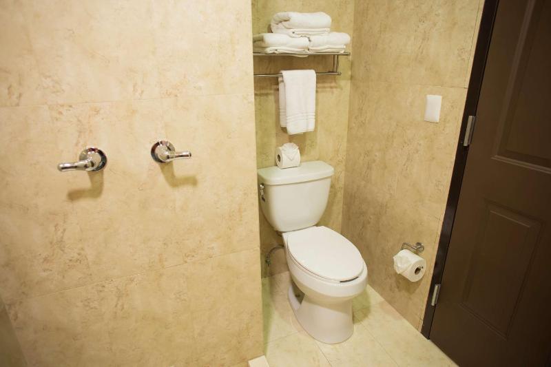 Hotel Plaza Calzada - image 43