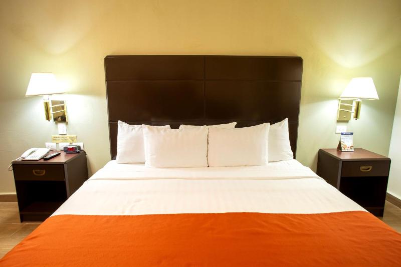 Hotel Plaza Calzada - image 29