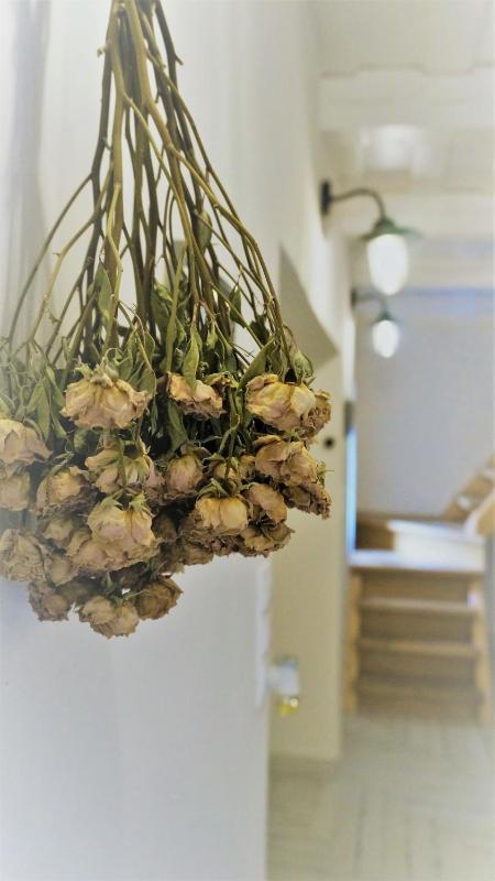 Holiday Home image 3