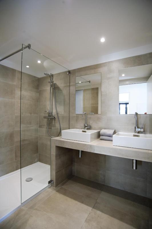 One-Bedroom Apartment image 4