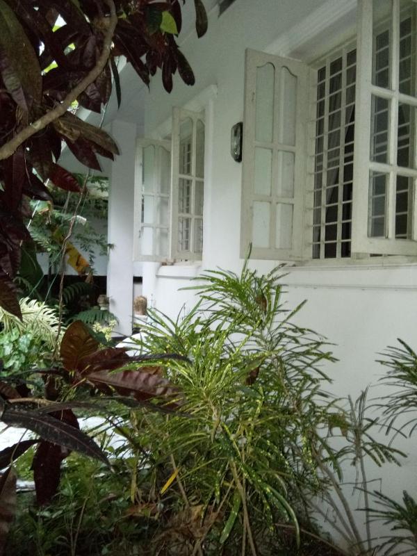 Coconut Grove - image 16