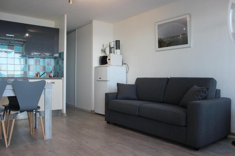 Nicolas Lambert - Appartement vue mer prêt de velosWIFI - image 6