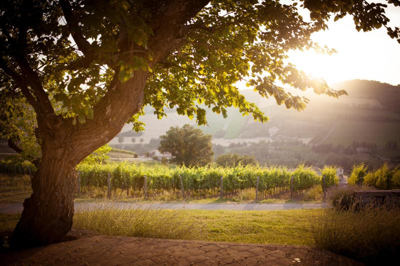Junior Suite with Pool View image 1