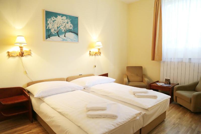 Double or Twin Room image 3