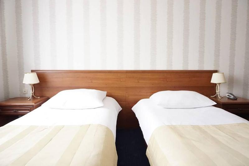 Standard Twin Room image 2