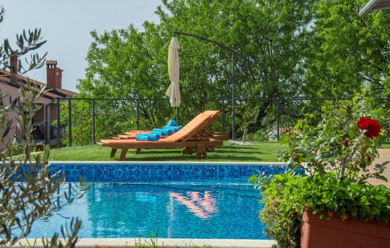 Modern Villa di Rovigno with Pool Hot Tub and Sea View - image 4