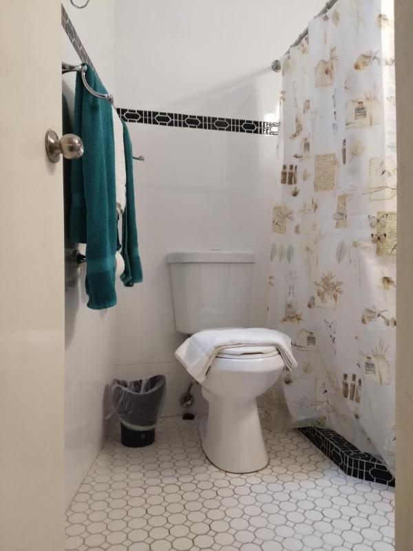 Newly Renovated Apartment image 4