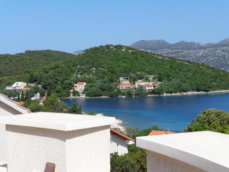 Deluxe Suite image 4