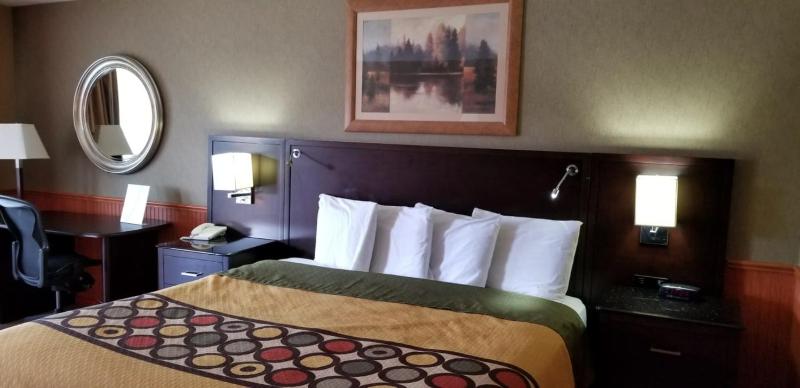 Deluxe King Room image 2
