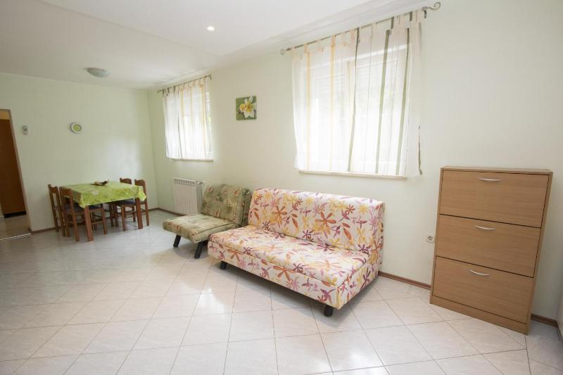 Apartment with Terrace image 4