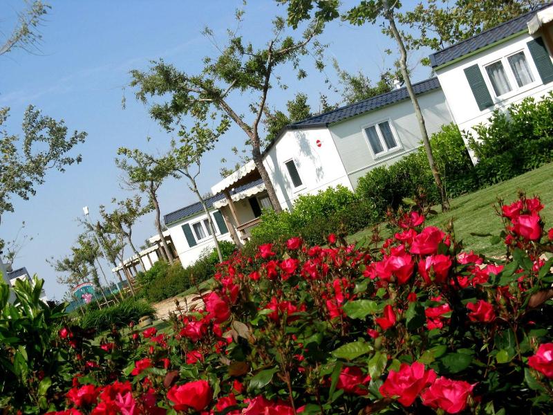 Two-Bedroom Chalet image 2