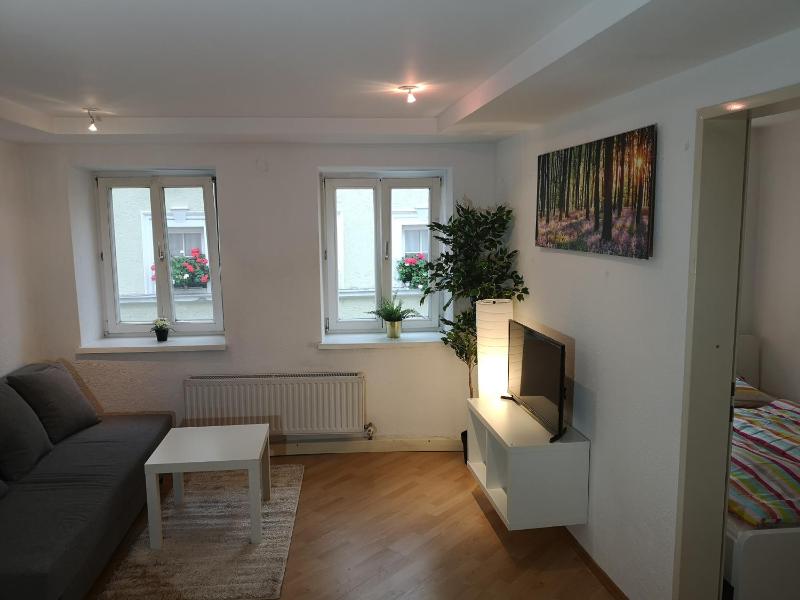 Innsbruck Old Town Apartment - image 16