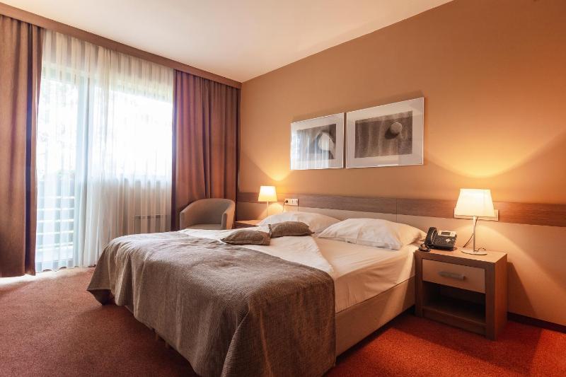 Superior Double or Twin Room with Balcony image 3