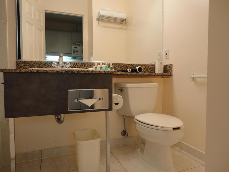 Rosedale On Robson Suite Hotel - image 7