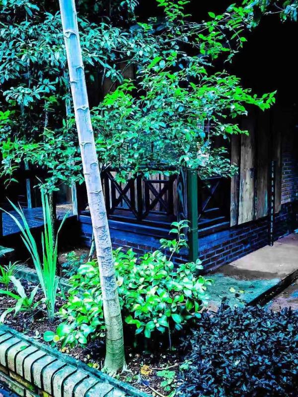 Palo Rosa Lodge - image 45