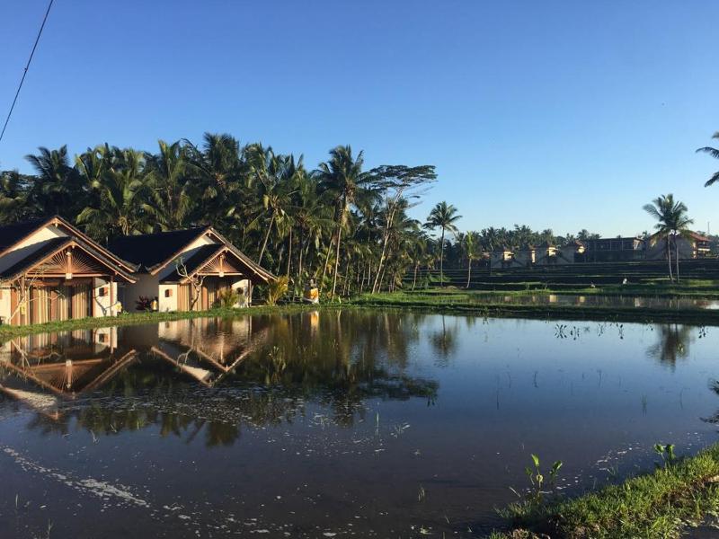 Amaya Ricefield & Jungle Cottages by Best Living - image 13