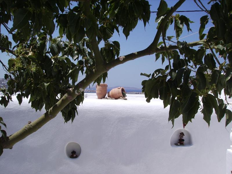 Double or Twin Room with Pool View image 4