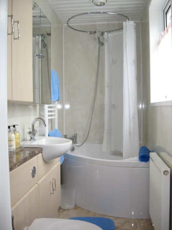 Deluxe Double Room with Bath image 4
